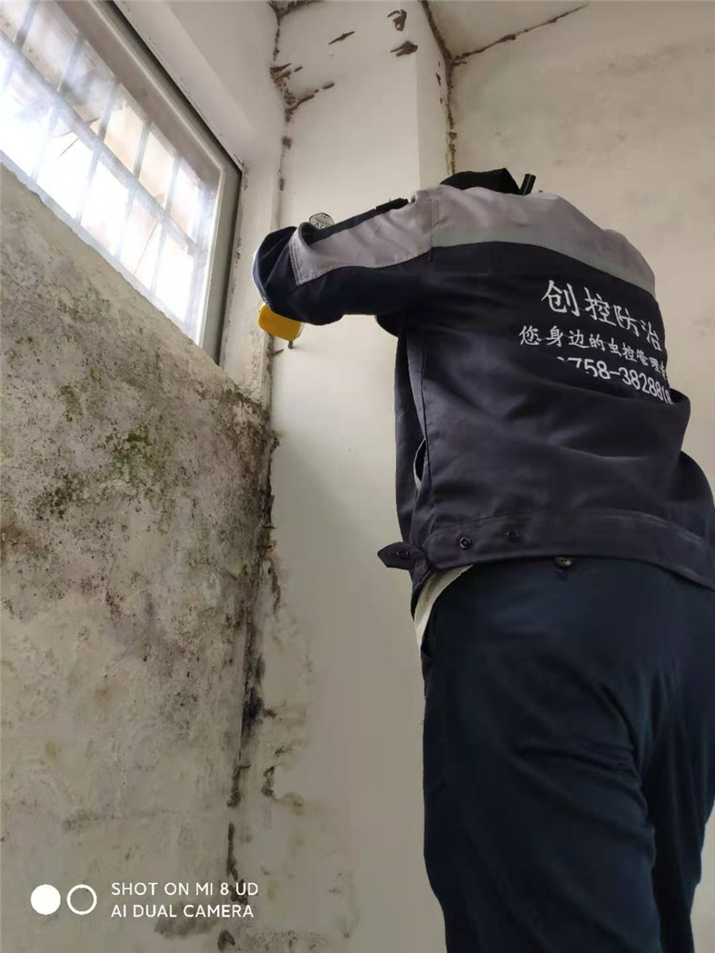 办公场所白蚁防治