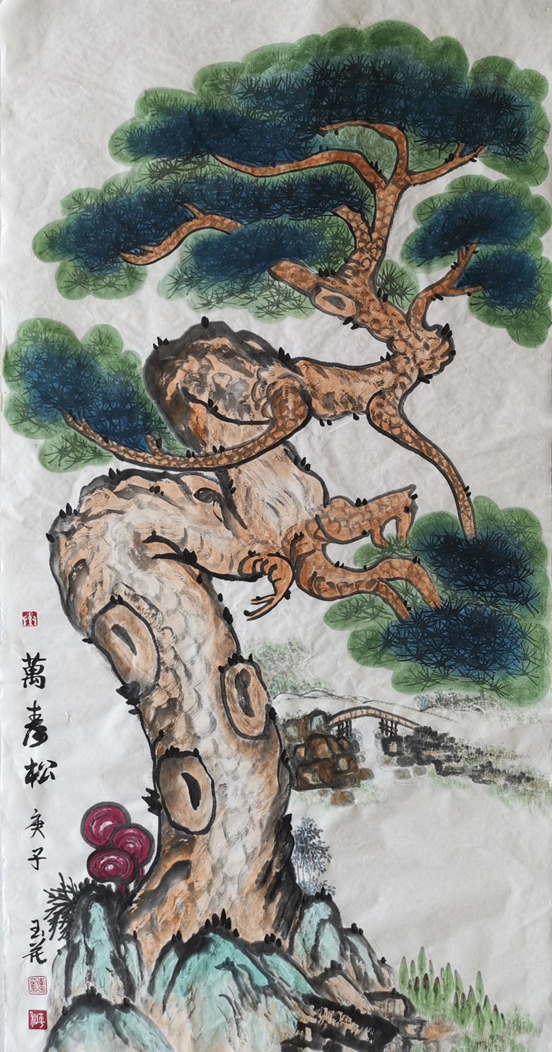万寿松