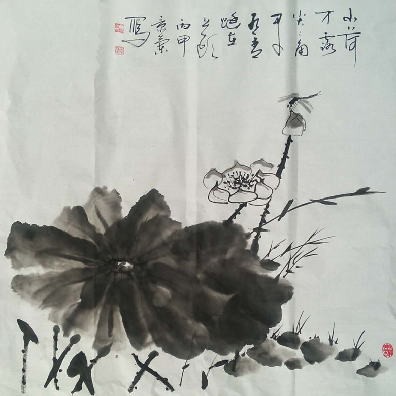 小荷才露尖尖角  早有蜻蜓立上头