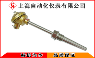 WRN-631装配式热电偶323.jpg